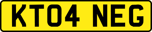 KT04NEG