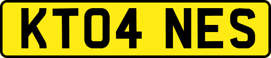 KT04NES