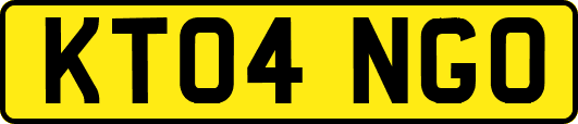 KT04NGO