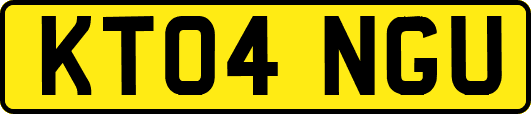 KT04NGU