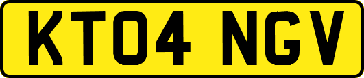 KT04NGV