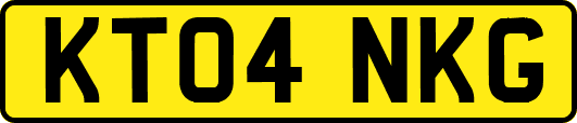 KT04NKG