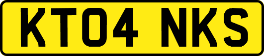 KT04NKS