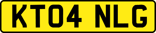 KT04NLG