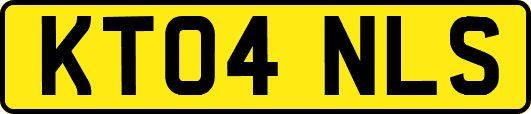 KT04NLS