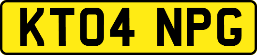 KT04NPG