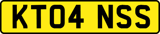 KT04NSS