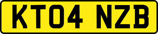 KT04NZB