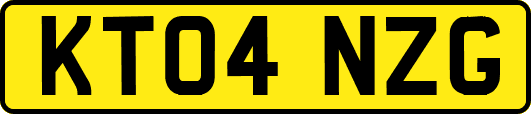 KT04NZG