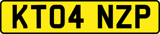 KT04NZP