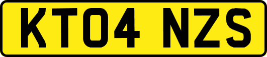 KT04NZS