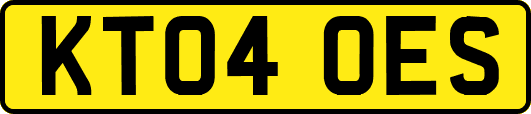 KT04OES