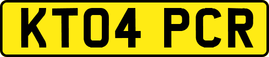 KT04PCR