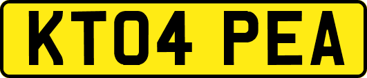 KT04PEA