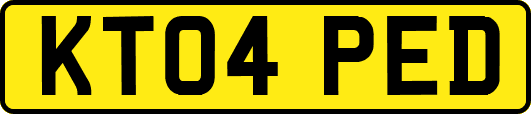 KT04PED