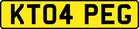 KT04PEG