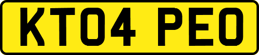 KT04PEO