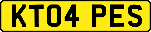 KT04PES