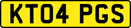 KT04PGS