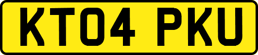 KT04PKU