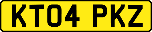 KT04PKZ