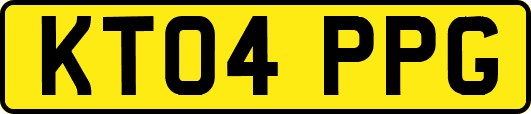 KT04PPG