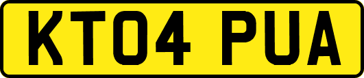 KT04PUA