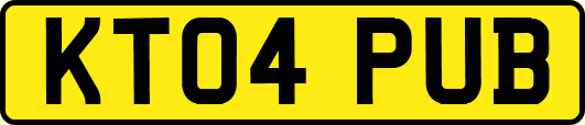 KT04PUB