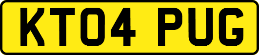 KT04PUG