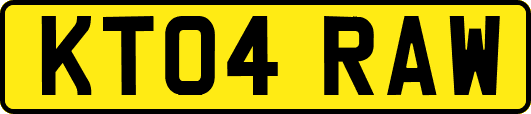 KT04RAW