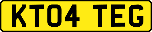 KT04TEG