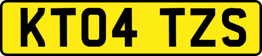 KT04TZS