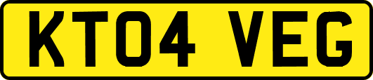 KT04VEG