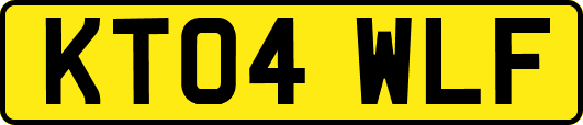 KT04WLF