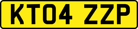 KT04ZZP