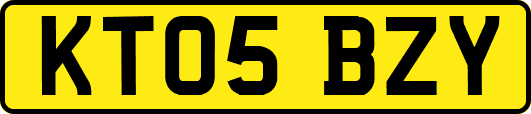KT05BZY
