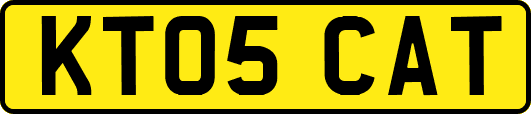 KT05CAT