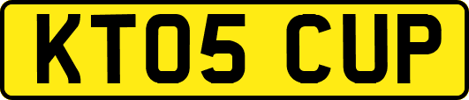 KT05CUP