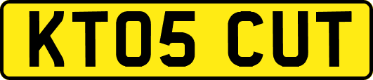 KT05CUT