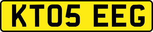 KT05EEG