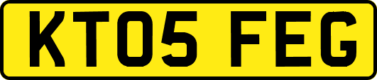KT05FEG