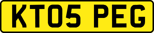 KT05PEG