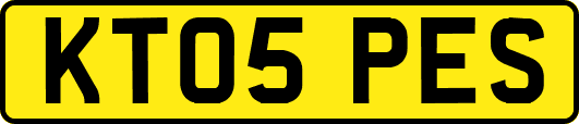 KT05PES