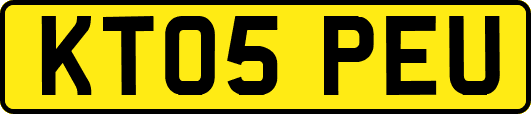 KT05PEU