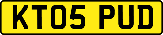 KT05PUD