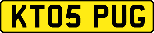 KT05PUG
