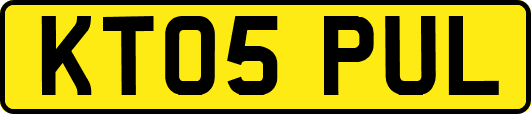 KT05PUL