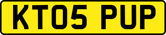 KT05PUP