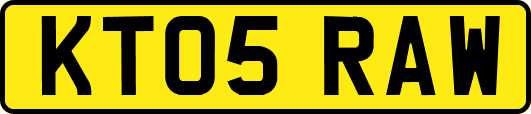 KT05RAW