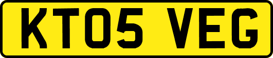 KT05VEG